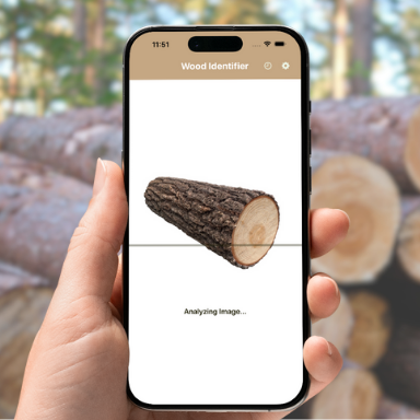 AI analyzing wood grain patterns