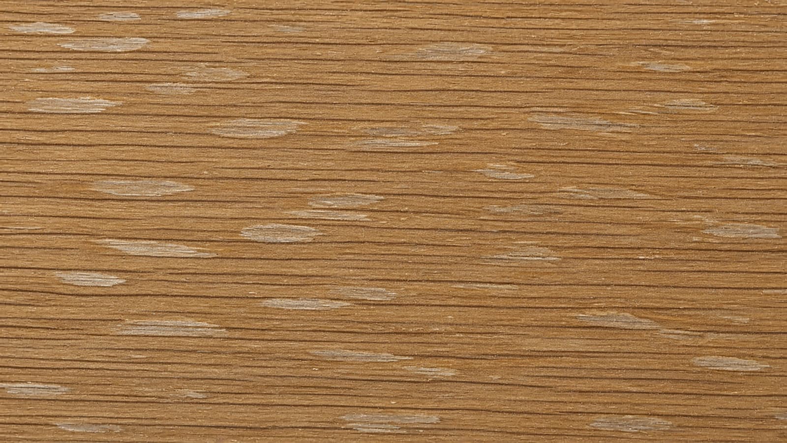 Quarter-sawn oak face with pale ray fleck crossing the grain